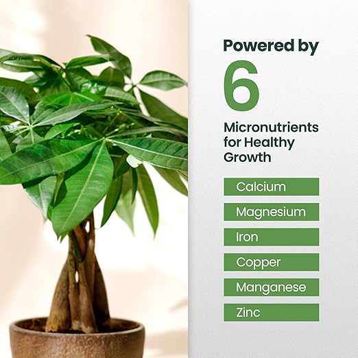 16oz Money Tree Plant Indoor Fertilizer - Makes 96 Gallons of Money Tree Fertilizer - Nutrient-Rich Plant Food with Macro & Micronutrients for Glossy Leaves, Strong Roots, and Lush, Tropical Growth