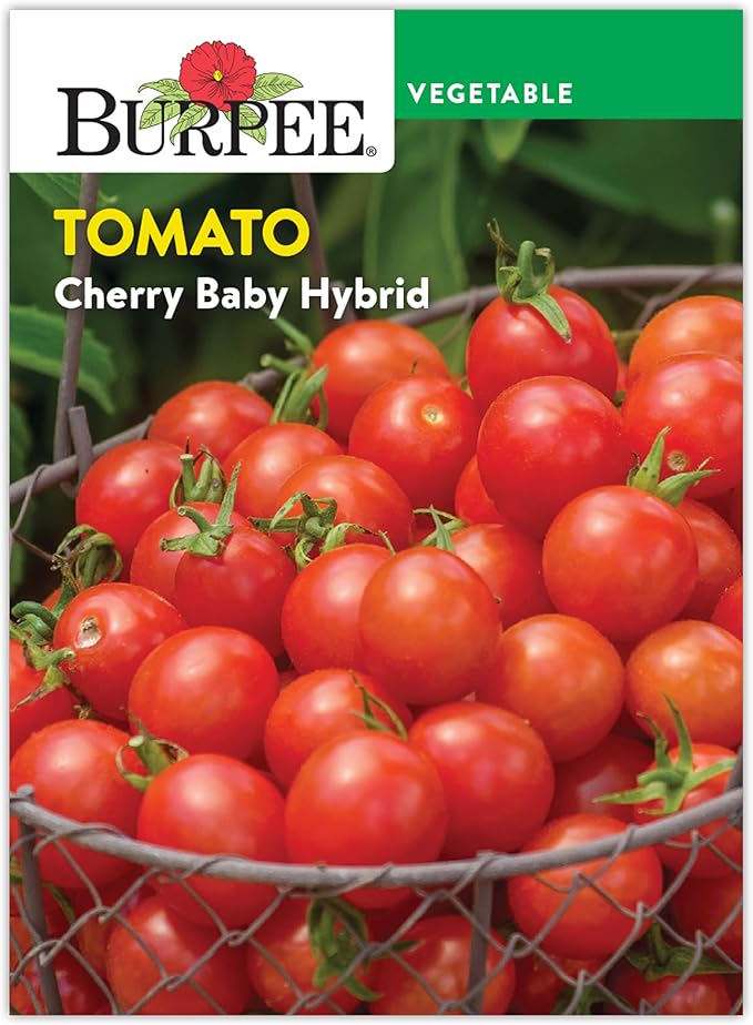 Burpee 'Cherry Baby Hybrid' Tomato Seeds for Planting- Non-GMO, Indeterminate, Cherry Tomatoes, 23mg Seed Packet
