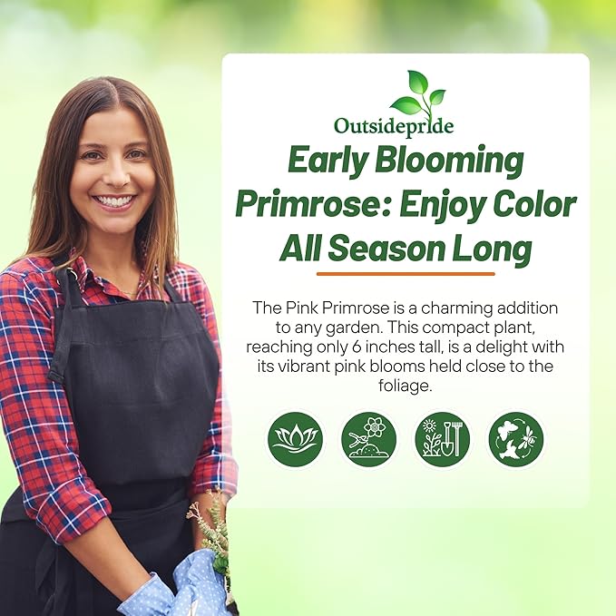 Outsidepride Danessa Pink Shades Common Primrose Seeds - 25 Pcs Annual, Hardy, Easy to Grow & Low Maintenance Flower Seeds for Planting Vibrant Blooms, for Containers, Borders & Erosion Control