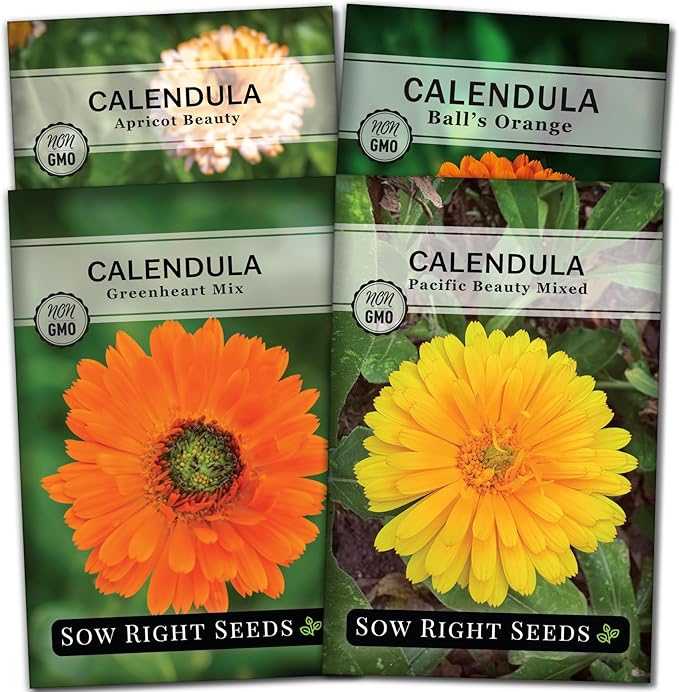 Sow Right Seeds - Calendula Seed Collection for Planting - Non-GMO Heirloom Packets, Instructions to Plant a Home Garden - Medicinal Blooms for Pollinators - 4 Varieties in Orange, Apricot, and More