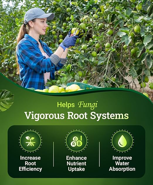 FoxFarm Happy Frog Citrus and Avocado Fertilizer- OMRI Listed Citrus Fertilizer, Slow-Release Nitrogen, Calcium & Sulfur for Citrus & Avocado Trees - 4 lb