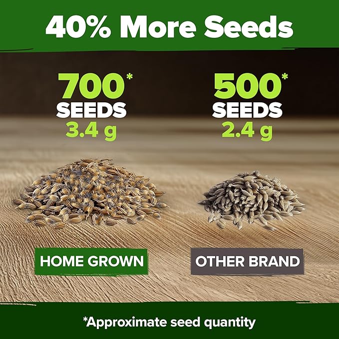 HOME GROWN Bachelor Button Flower Seeds Tall Mix 700+ Cornflower Heirloom Seeds for Planting - Quick Blooming, Non-GMO, Pollinator Friendly, Easy to Grow Wildflowers USA Grown (Centaurea cyanus)