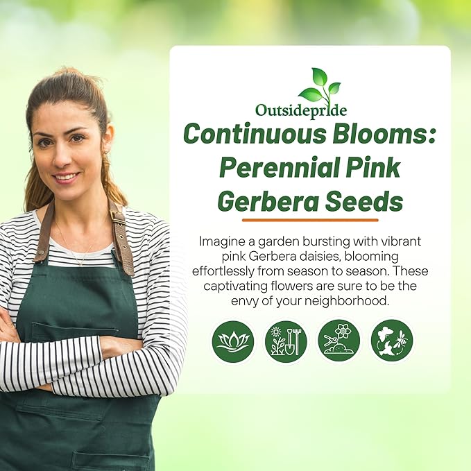 Outsidepride Pink Gerbera Seeds - 10 Pcs Perennial, Compact & Low Maintenance, Flower Seeds for Planting w/Vibrant Green Centered, Pink Blooms, Ideal for Garden Landscaping & Cut Flower Arrangements