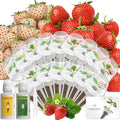 LYKOCLEAN Hydroponic Seed Pod Kit Compatible with AeroGarden, Ahopegarden, iDoo, MUFGA, 16 Pods Complete Growing Anything Garden Supply with Strawberry Seeds, Grow Sponges, Baskets, Domes, Labels