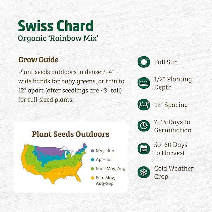 Back to The Roots 100% Organic Seed Packet - Swiss Chard 'Rainbow Mix' 210mg