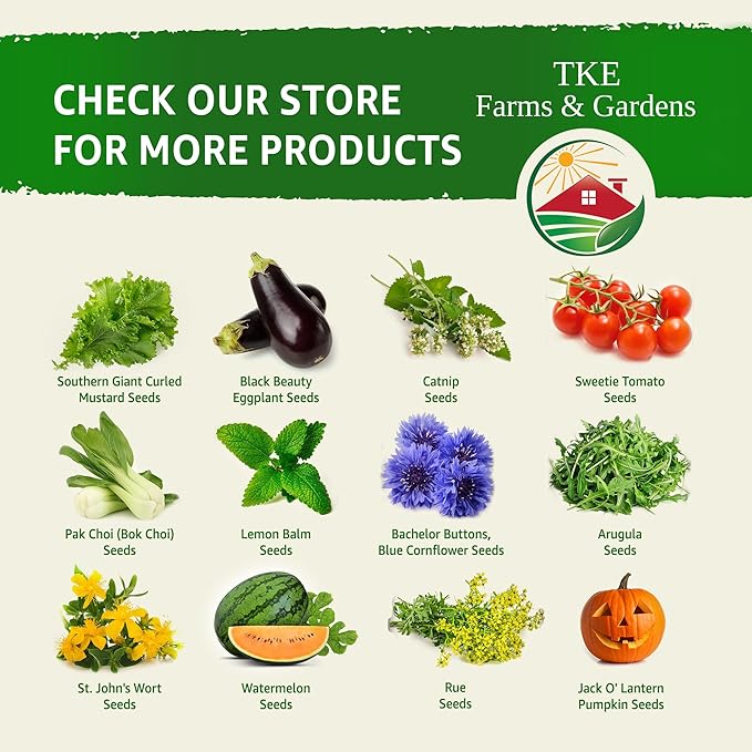 TKE Farms & Gardens - Lacinato Kale Seeds for Planting, 2 Grams, 500+ Heirloom Non-GMO Seeds - Dinosaur Kale, Tuscan Kale, Cold Hardy Superfood for Traditional & Urban Gardens