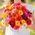 Eden Brothers Zinnia Seeds - Super Yoga Mix, Non-GMO Seeds for Planting, 1 oz | Low-Maintenance Flower Seeds, Plant During Spring, Zones 3, 4, 5, 6, 7, 8, 9, 10