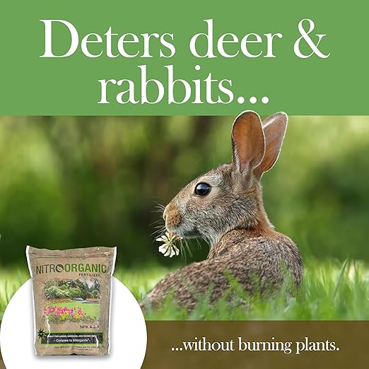 Natural Plant Food Fertilizer, 5lbs - Provides Optimal Nutrient Intake to Enhance Root Growth in Lawns, Gardens, Raised Beds, Seedlings & More - Slow Release