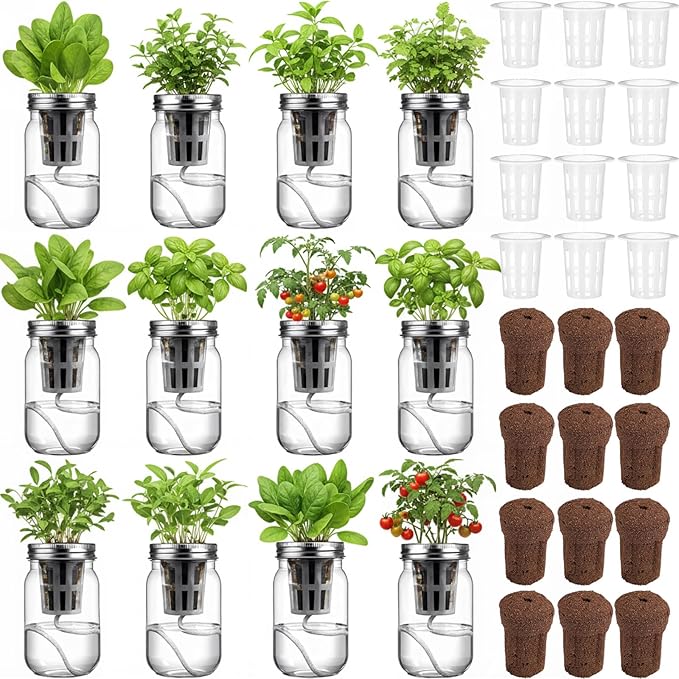 12 Set Hydroponic Herb Garden Planter Indoor Kit, Include 12 Self Watering Mason Jars 12 Planting Baskets 12 Pre Sown Growth Plugs and 12 Absorbent Cores Herb Growing Kit for Gardening