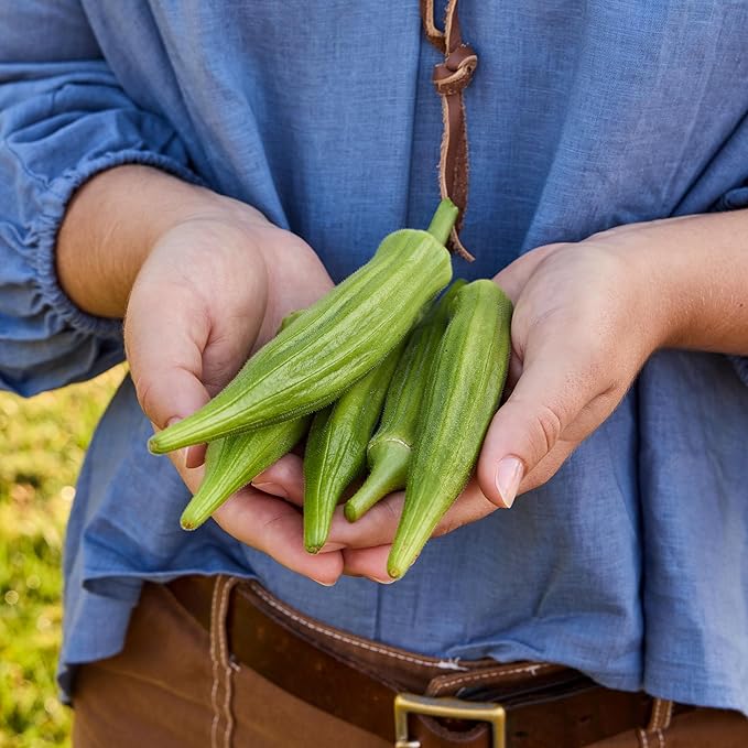 Burpee Clemson Spineless Okra Seeds - Classic High-Yield Variety