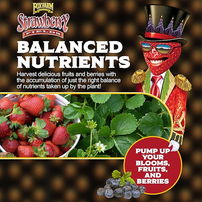 FoxFarm Strawberry Fields Fruiting & Flowering Potting Soil, 1.5cu ft - Use to Increase Blooms, Fruits, and Berries - Made for the Fruiting and Flowering Stages of Plants