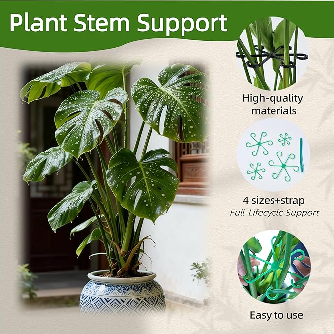 8/16/32PCS Plant Stem Support,4 Sizes Set,Plastic Stems Holder for Indoor Plants, Reusable Stem stabilizer,Keeps Potted Houseplants Growing Straight (8, Black)
