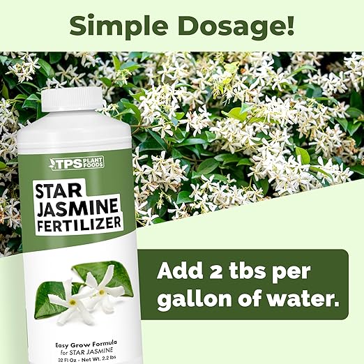 Star Jasmine Fertilizer – Liquid Plant Food for More Blooms, Stronger Vines & Sweet Fragrance, 32 oz