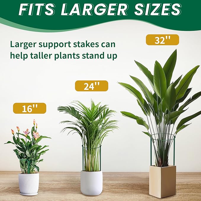 6-Pack Garden Plant Support Cages,14"Diax32"H Heavy Duty Interlinked Half Round Peony Support Rings,Metal Plant Support Stakes for Peony,Tomato,Hydrangea,Rose,Indoor & Outdoor Garden Plant Supports