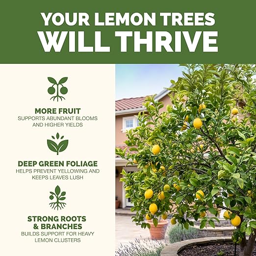Lemon Tree Fertilizer – Liquid Plant Food for More Fruit, Better Flowering & Stronger Root Development, 1 Gallon