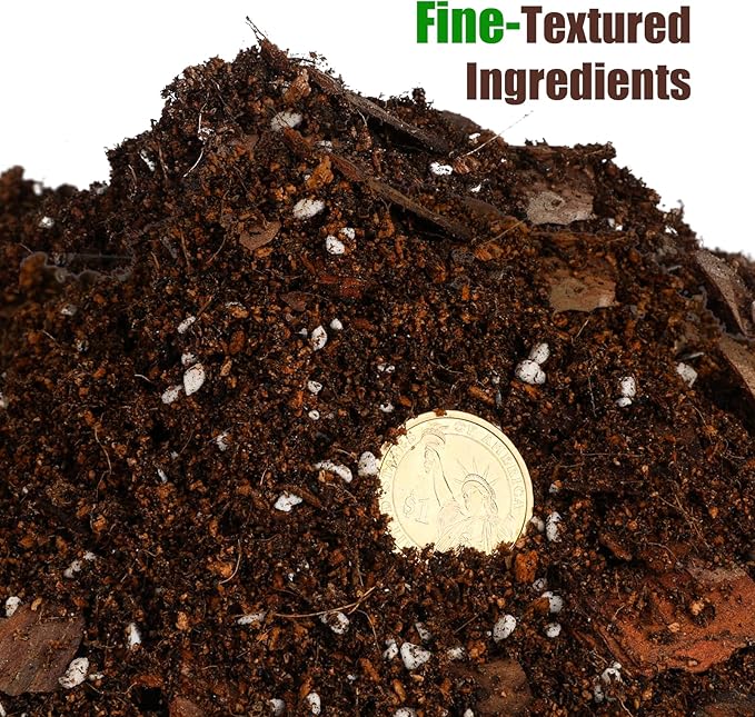 Organic Pothos Soil Mix 2qt, Indoor Plants Potting Mix for All Potted Pothos, Grow Healthy houseplants Indoors
