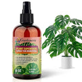 𝐁𝐄𝐒𝐓𝐒𝐄𝐋𝐋𝐄𝐑 Plant Superfood for Monstera Plants with B1 Vitamin, Glucose and Essential Minerals - Organic Plant Food Fertilizer for Indoor & Outdoor Monstera Plant Care - 8oz