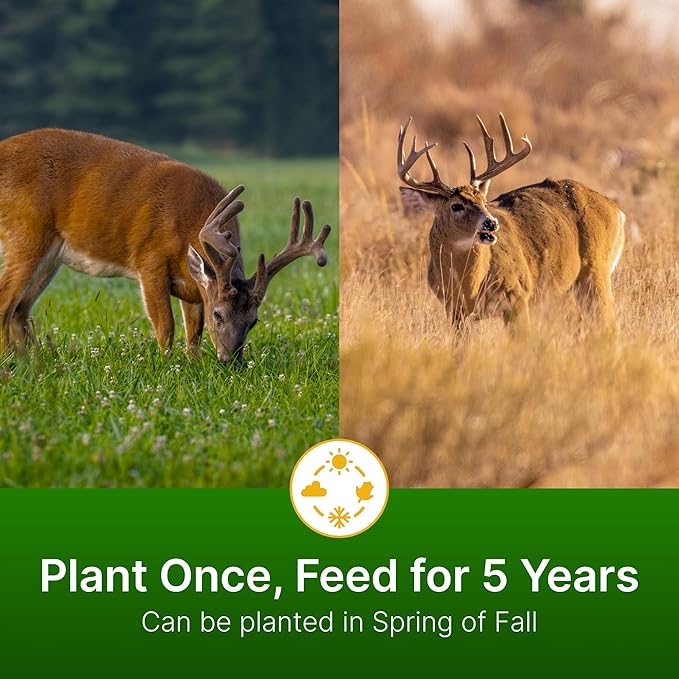HIT LIST SEED® Alfalfa + Clover Food Plot Seeds for Deer [Perennial] - Food Plot Seed Perennial - Deer Plot Seed Mix - Ladino/Red/Crimson Clover, Alfalfa, Chicory - Spring & Fall Planting - 5 lbs