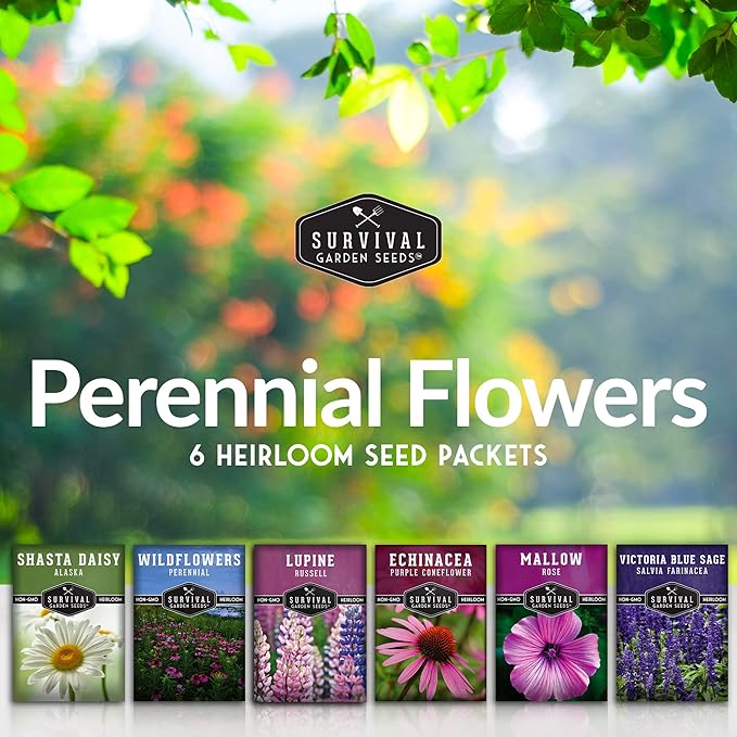 Perennial Flowers Seed 5 Pack for Planting - Shasta Daisy, Purple Coneflower, Russell Lupine, Rose Mallow, Blue Sage, Wildflower Mix- Heirloom Open-Pollinated | Survival Garden Seeds