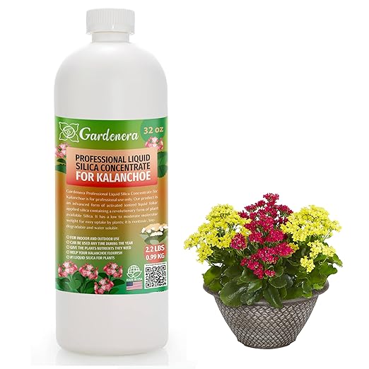 𝐏𝐑𝐎𝐅𝐄𝐒𝐒𝐈𝐎𝐍𝐀𝐋 Liquid Silica Plant Supplement - 32oz - KALANCHOE Plants Liquid Silica Boost Fertilizer - Stronger Stems & Healthy Leaves for Indoor & Outdoor Kalanchoe (Makes 180 Gallons)