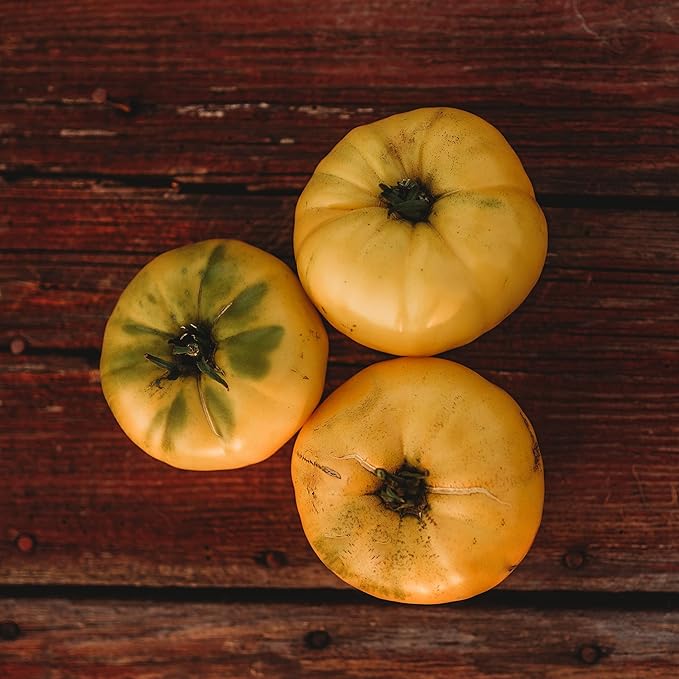 Hensley Settlement Heirloom Yellow Tomato - 50 Seeds - Rare Heirloom, Low Acid Variety, Non-GMO Vegetable Seeds for Planting in The Home Garden, Thresh Seed Company