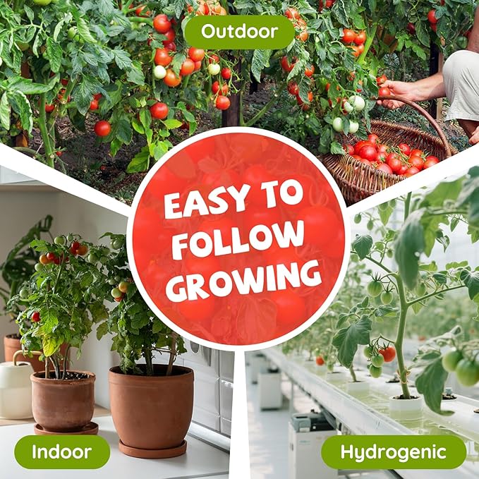 10 Heirloom Tomato Seed Varieties Packet - Non-GMO, Open Pollinated Seeds for Planting Home Garden - Beefsteak, Roma, San Marzano, Cherokee Purple, Cherry Tomatoes & More