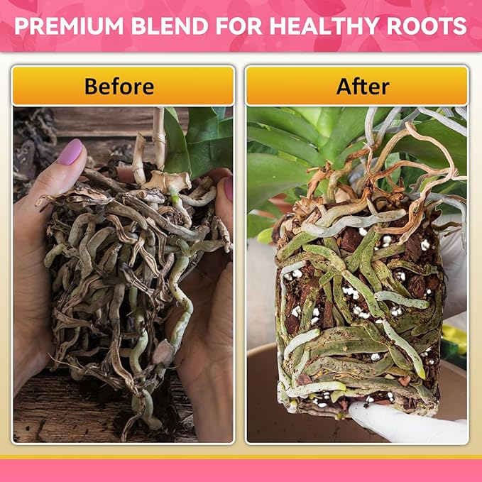 Riare 2QT Orchid Potting Mix, Natural Orchid Bark Potting Mix Soil Medium with Pine Bark and Perlite, Premium Orchid Repotting Kit for Phalaenopsis Dendrobiums, Enhanced Drainage & Root Expansion