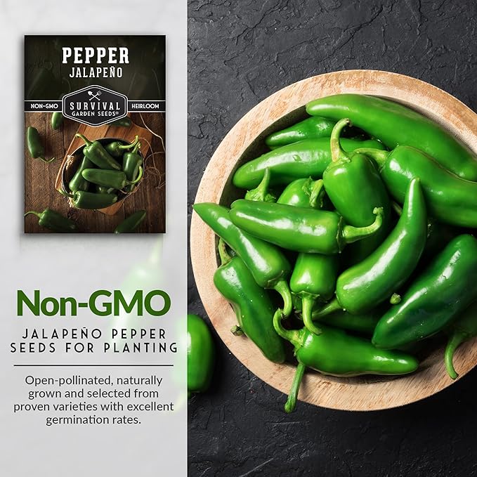 Jalapeño Pepper Seeds for Planting | Hot Heirloom Non-GMO Peppers for Pickling & Salsas – Survival Garden Seeds (5 Packs)