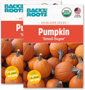 Back to The Roots 100% Organic Heirloom Seeds - New England Pie Pumpkin Value Pack (5g Total)