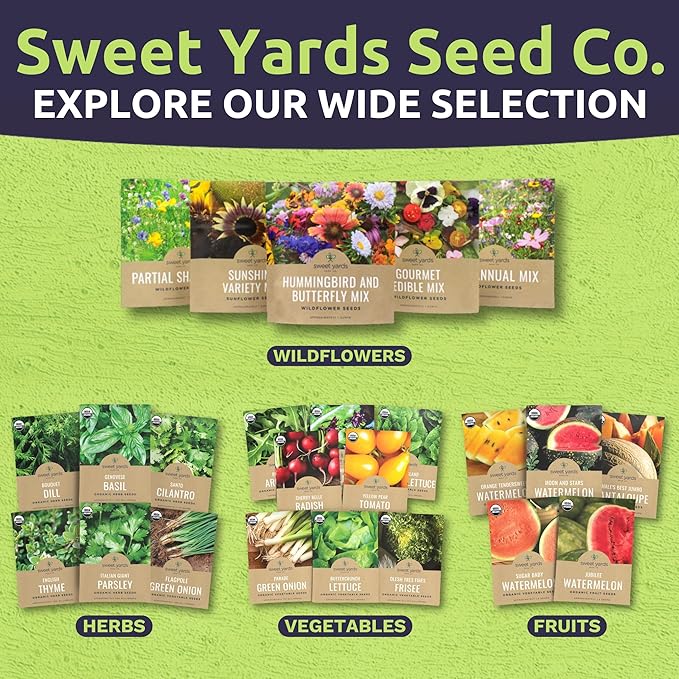 Red Clover - Bulk 1/4 Pound Pouch - 60,000 Flower Seeds for Planting - Trifolium pratense