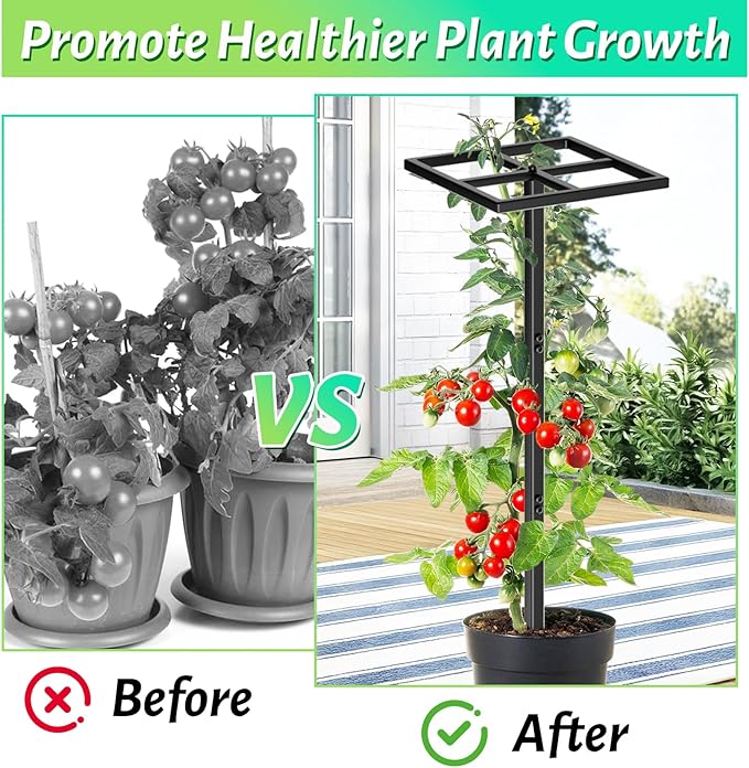 Dragon Fruit Trellis, Adjustable Metal Dragon Fruit Plant Trellis Durable Vertical Support Frame for Climbing Plants Trees Cactus Roses Vines Garden Outdoor Indoor, 1 Pcs