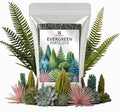Gardenera Evergreen Fertilizer – All-Purpose Granular Plant Food for Outdoor Trees and Shrubs, Azaleas, Magnolias, Pines & Arborvitae – Slow-Release Formula (2 Quarts)