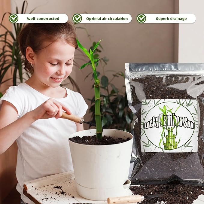 Premium Lucky Bamboo Soil Mix 1qt, Indoor Plants Potting Mix for All Potted Luncky Bamboo, Promote Healthy Growth and Longevity