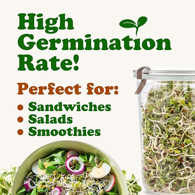 Food to Live - Antioxidant Mix of Sprouting Seeds, 8 Ounces — Broccoli, Clover, Alfalfa, Kosher, Raw, Vegan