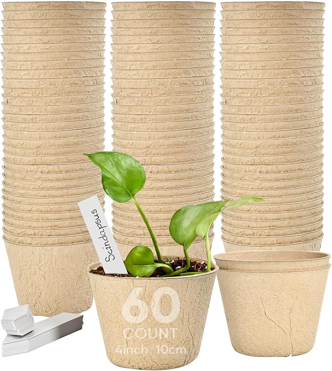 Jolliance 60 Pack 4” Peat Pots for Seeding with 60Pcs Plant Labels, Biodegradable Seed Starter Pots with Drainage Holes, Garden Germination Nursery Pots