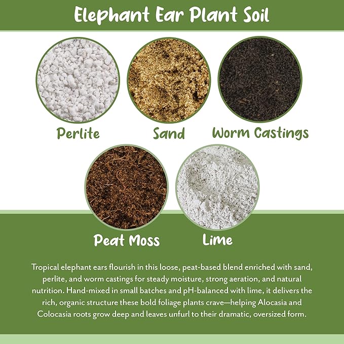 Soil Sunrise Elephant Ear Potting Soil Mix (8 Quarts) Colocasia and Alocasia Potted Plant Blend
