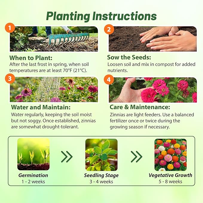 Outsidepride Zinnia Seeds - 1000 Pcs Annual Blend of Hardy Compact Mixed Color Ball-Shaped Blooms for Planting in Outdoor Containers, Borders, Flower Beds, Cutting Gardens & Pollinator-Friendly Spaces