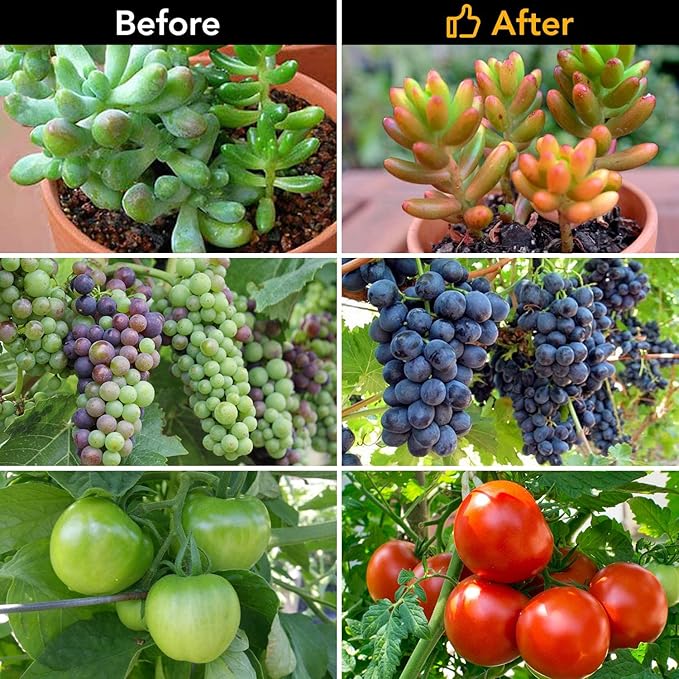 iPower LED Grow Light with Full Spectrum for Indoor Plants, Adjustable Gooseneck, 2/3 Light Modes&5/10 Dimmable Levels, 3 Auto Timing Modes, 3 Tubes, Red&Blue