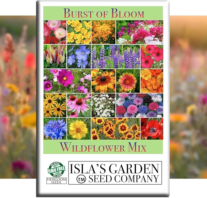 Burst of Bloom Wildflower Seeds Mix – 2500+ Non-GMO & Heirloom Seeds, Attracts Butterflies & Hummingbirds, Annual & Perennial Blend for Pollinator Gardens, by Isla’s Garden Seeds