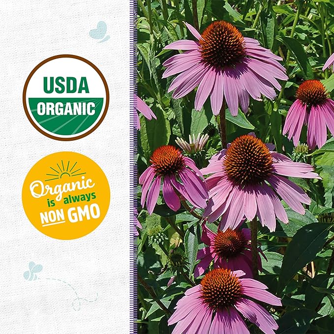 Back to The Roots 100% Organic Heirloom Seeds - Coneflower Value Pack (420mg Total)