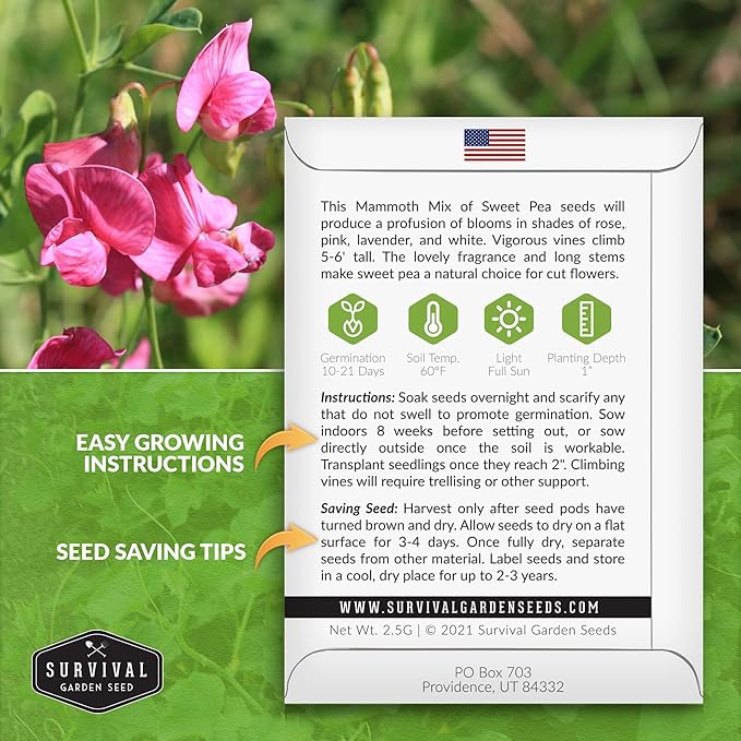 Mammoth Mix Sweet Pea Seeds for Planting – Heirloom Sweet Pea Variety with Giant Fragrant Flowers on Tall Climbing Vines for Trellises and Fences – Survival Garden Seeds (3 Packs)