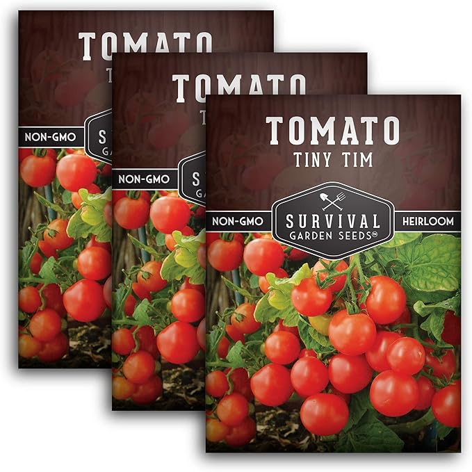 Tiny Tim Tomato Seeds - Dwarf Cherry Tomatoes for Planting Indoors or Patio, Compact Heirloom Variety for Containers, High Yield, Non-GMO - Survival Garden Seeds (3 Packs)