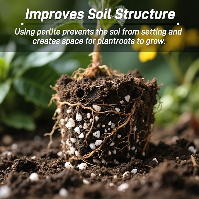 3 Quarts Chunky Perlite for Plant Soil Amendment for Potting Soil, Improves Drainage and Aeration for Soil, Ideal for Succulents, Orchid, Flower Plants (1/4 inch)
