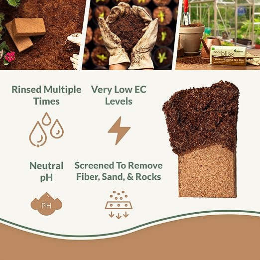 Coco Coir Brick (650gms) + Char Bliss (1 Qt) - Coco Coir Brick & Organic Biochar for Plants - Organic Coco Coir for Plants - Biochar Soil Amendment - Charcoal for Plants - Garden Soil Potting Mix