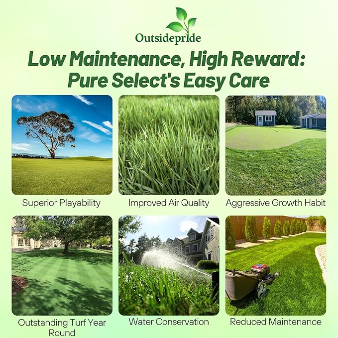 Outsidepride Pure Select Creeping Bent Grass Seed - 1 lb. Premium Turf Grass for Putting Greens, Tees & Fairways, Dense & Fine-Textured Lawn Seed for Smooth, Professional-Quality Golf Greens & Lawns