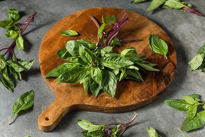 TKE Farms & Gardens - Thai Basil Seeds for Planting, 500+ Non-GMO Heirloom Seeds, Easy-to-Grow Herb, Indoor & Outdoor Gardening, Perfect for Home Chefs and Asian Cuisine, Instructions Included