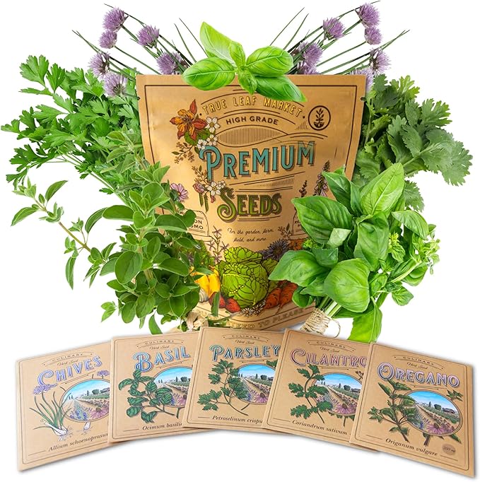Essential Culinary Herb Garden Seed Collection - Basil, Chives, Cilantro, Parsley, and Oregano Seeds for Planting - ~2,300 Non-GMO, Heirloom Seeds - Charmingly Packaged Herb Seed Variety Pack