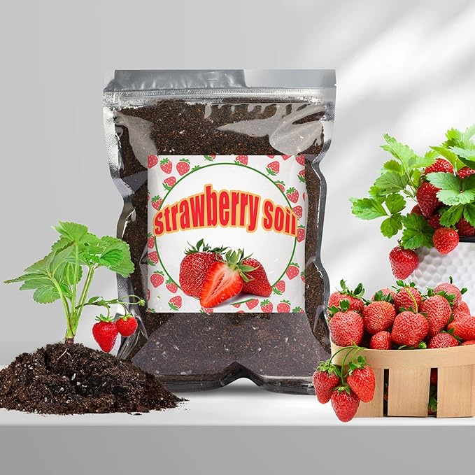 Organic Strawberry Soil Mix 10qt, Indoor Plants Potting Mix for All Potted Strawberry, Grow Healthy houseplants Indoors