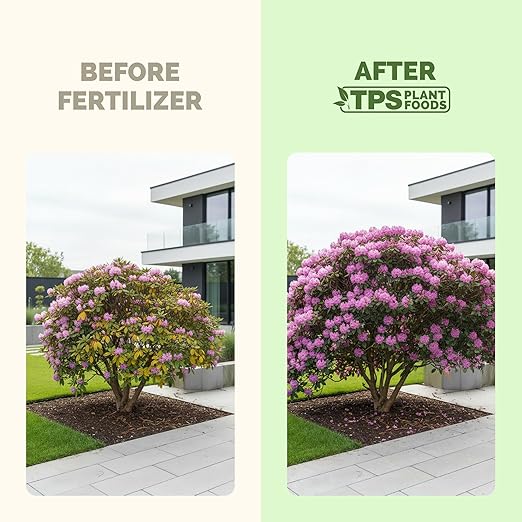 Azalea Fertilizer – Liquid Plant Food for Vibrant Blooms, Rich Green Leaves & Stronger Roots, 32 oz
