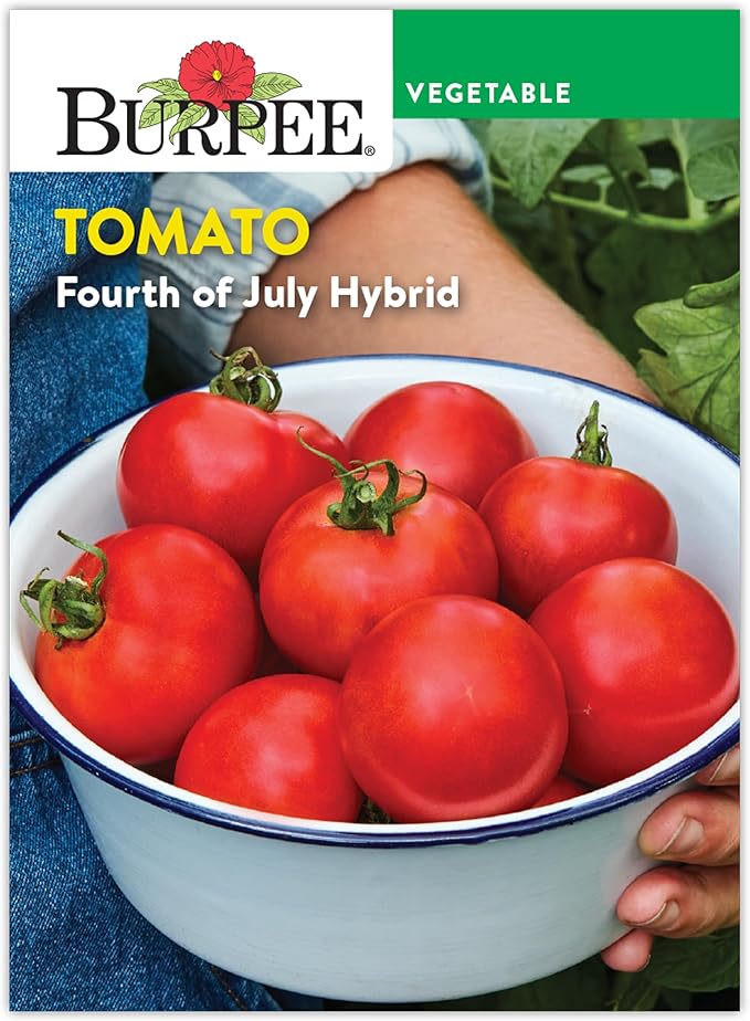 Burpee 'Fourth of July Hybrid' Tomato Seeds - Non-GMO, Indeterminate, Slicer Tomato, 90mg Seed Packet for Planting